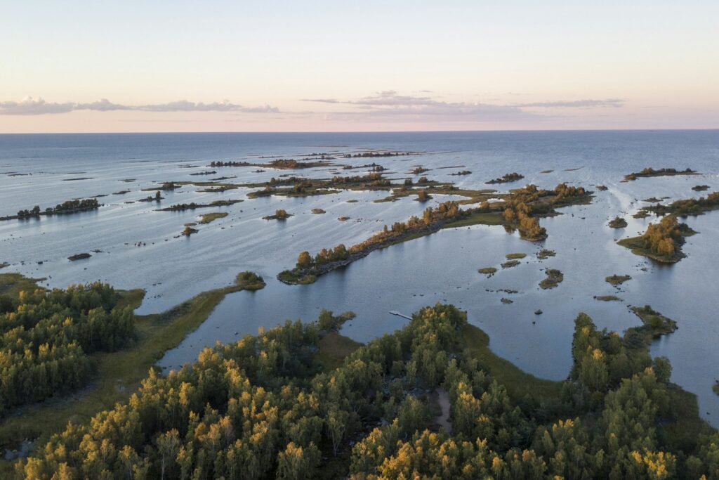Skärgård med träd och vatten