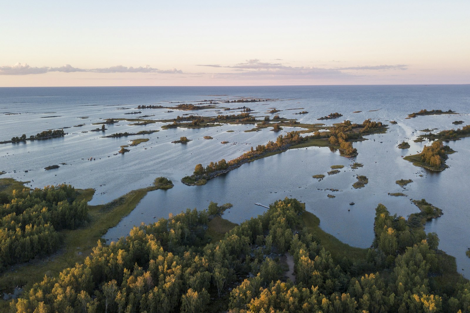 Skärgård med träd och vatten